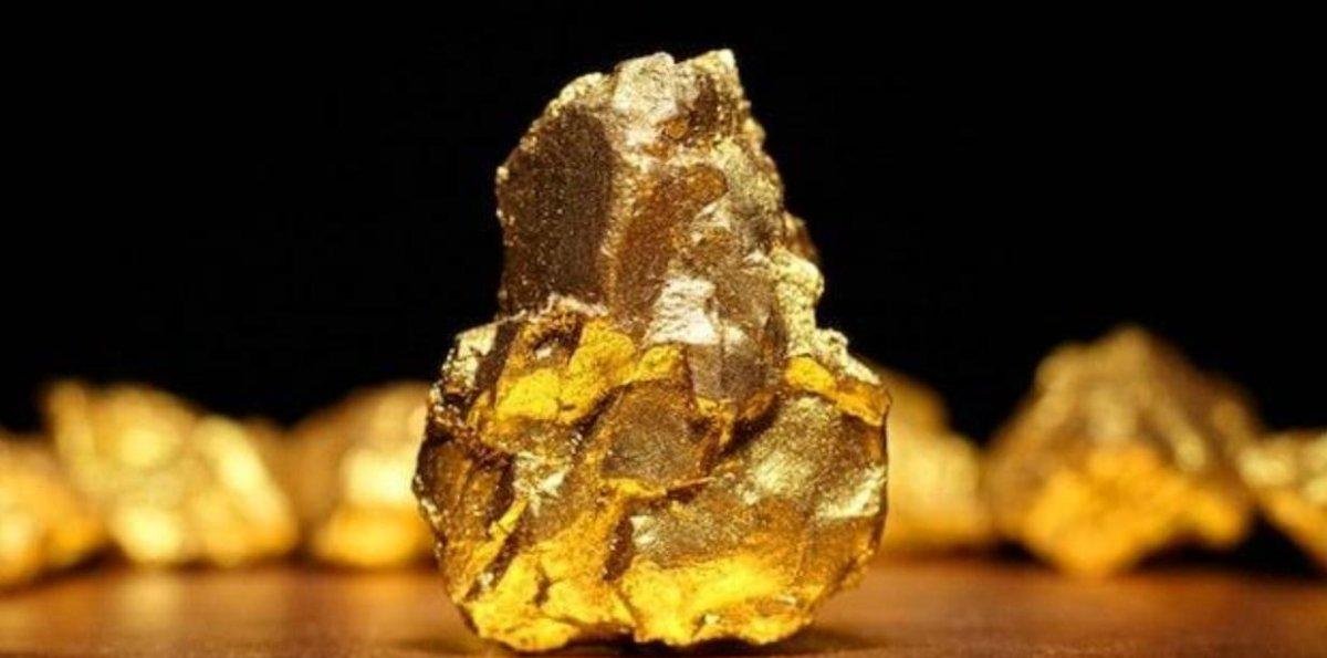 El oro y su impacto en la economía dominicana: reservas y exportaciones