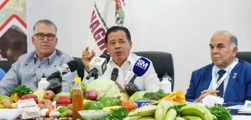 Piden mantener protección a la producción nacional de arroz