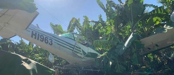 Piloto resulta ileso tras avioneta de fumigación caer en finca de Hatillo Palma en Montecristi