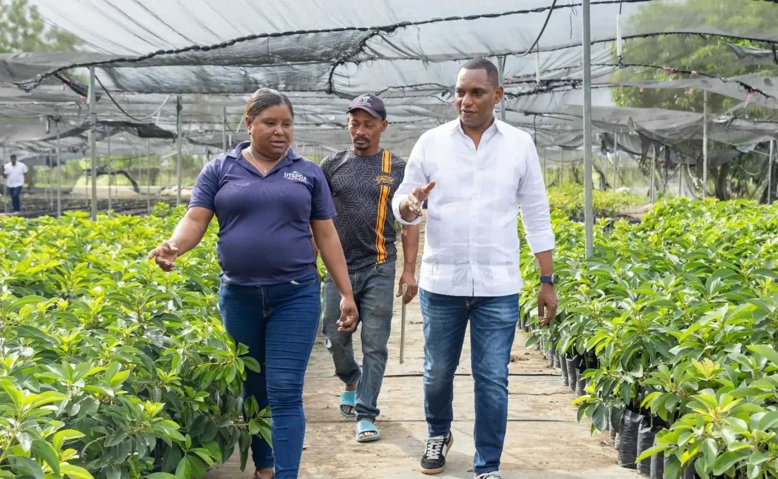 UTEPDA supervisa vivero y almacén de agroinsumos en San Juan