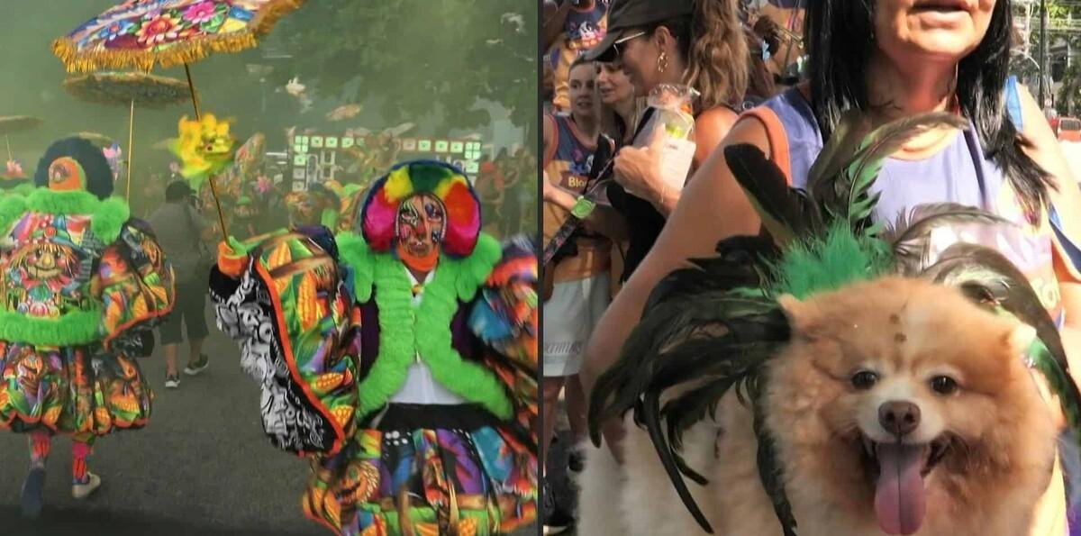 Carnaval para todos: de los bate bola hasta desfiles caninos sacuden Rio de Janeiro