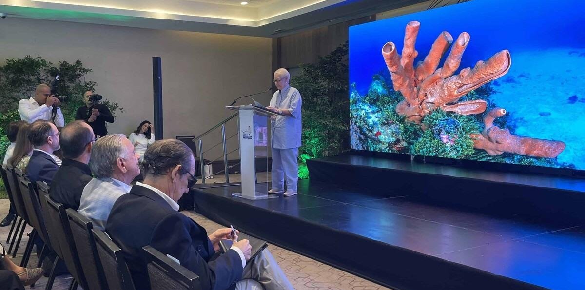 Informe sobre arrecifes en RD advierte deterioro, pero identifica señales de resiliencia