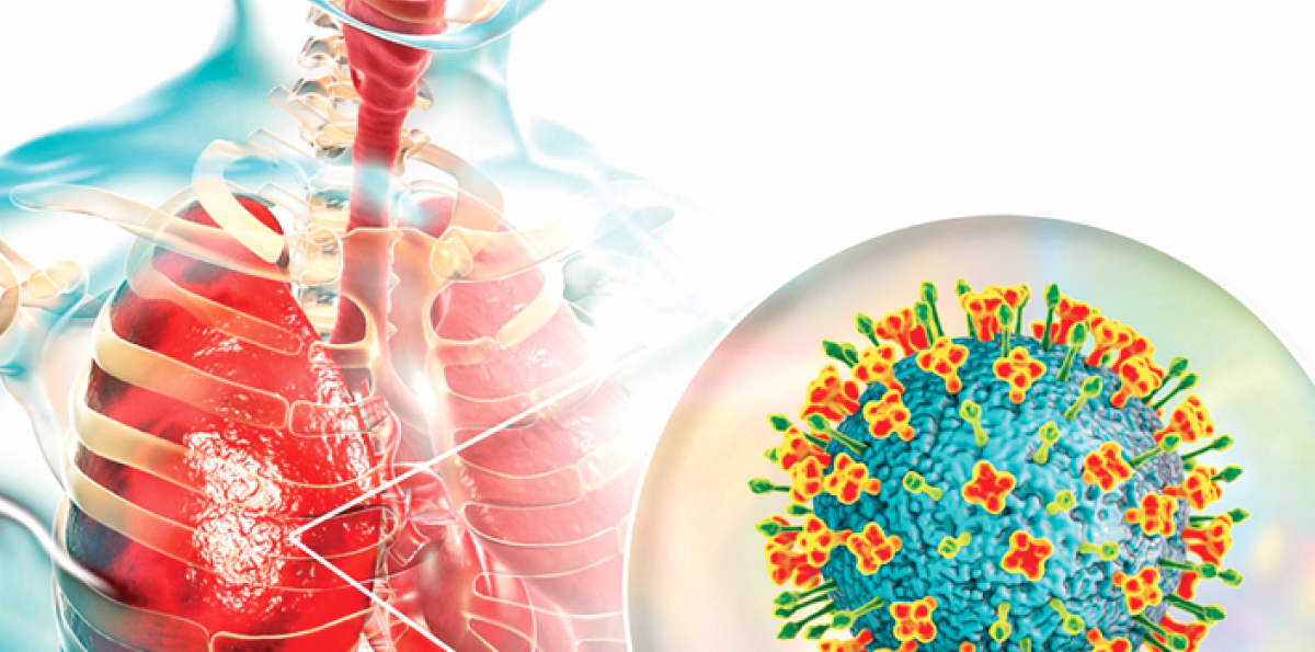 Virus Nipah: “no hay que alarmarse pese a su letalidad”